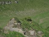 Image of landscape