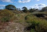 Image of landscape
