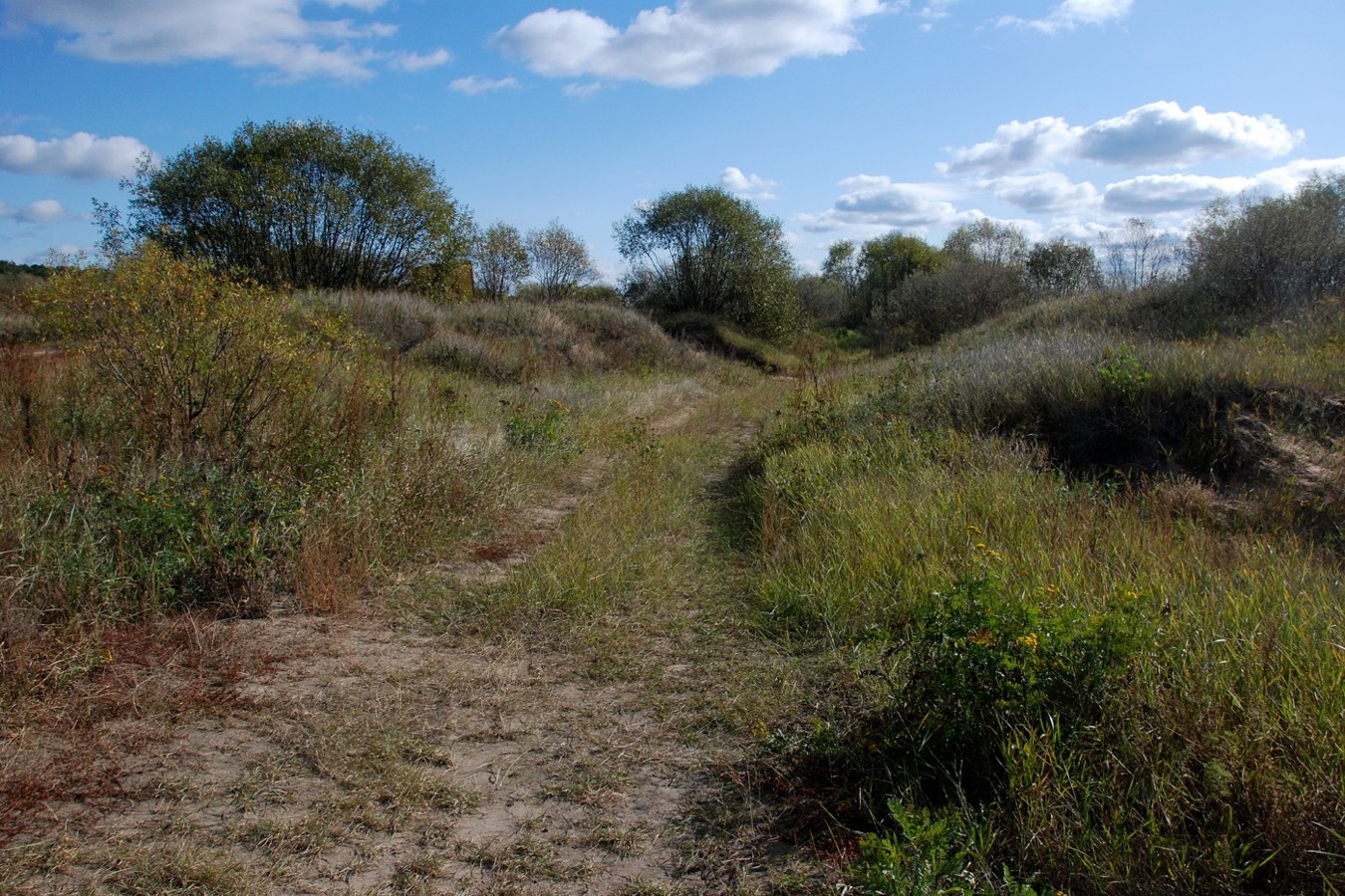 Соколова Пустынь, image of landscape/habitat.