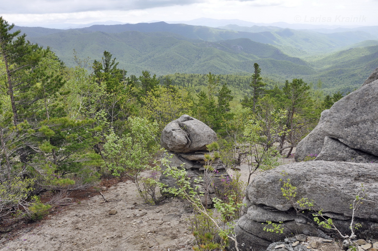 Белый Город, image of landscape/habitat.