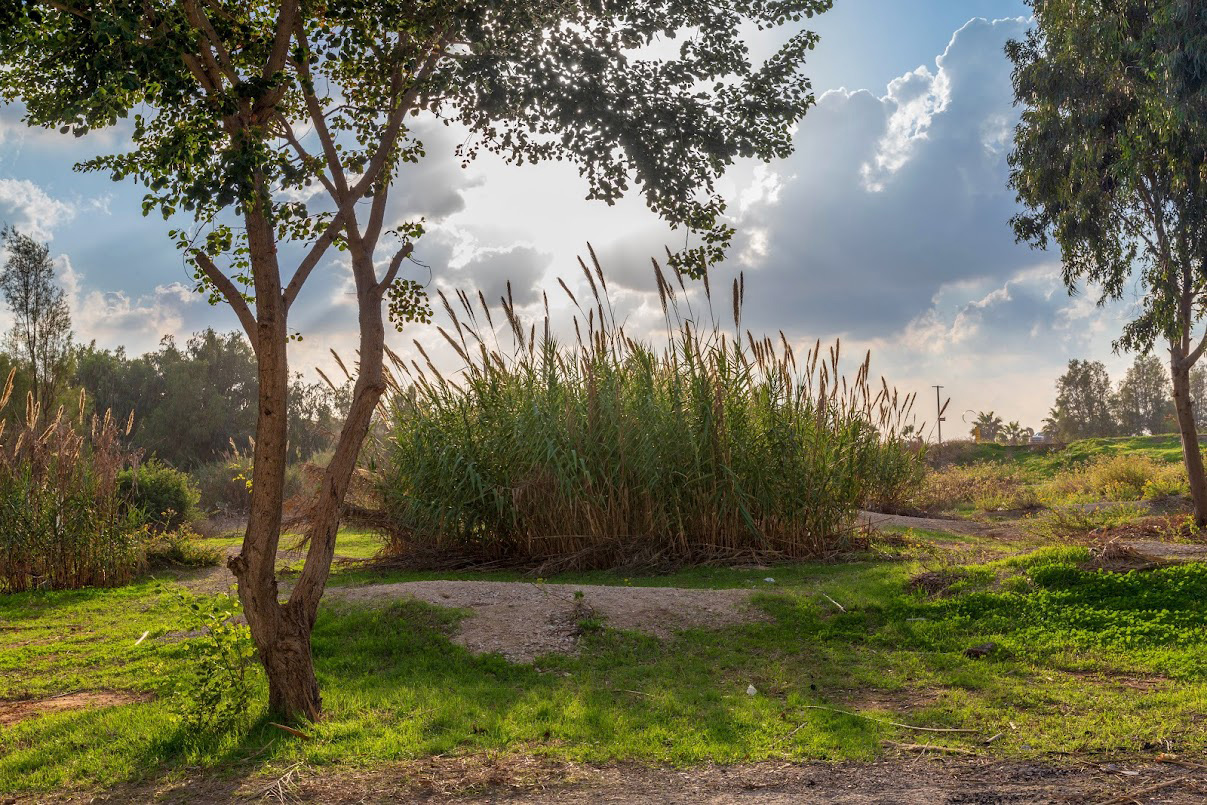 Бат-Ям и окрестности, image of landscape/habitat.