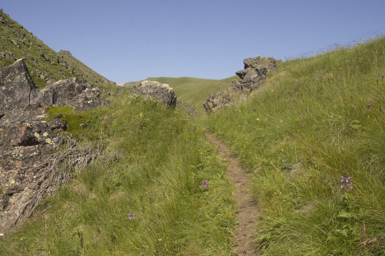 Урочище Обезьянья тропа, image of landscape/habitat.