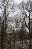 Image of landscape