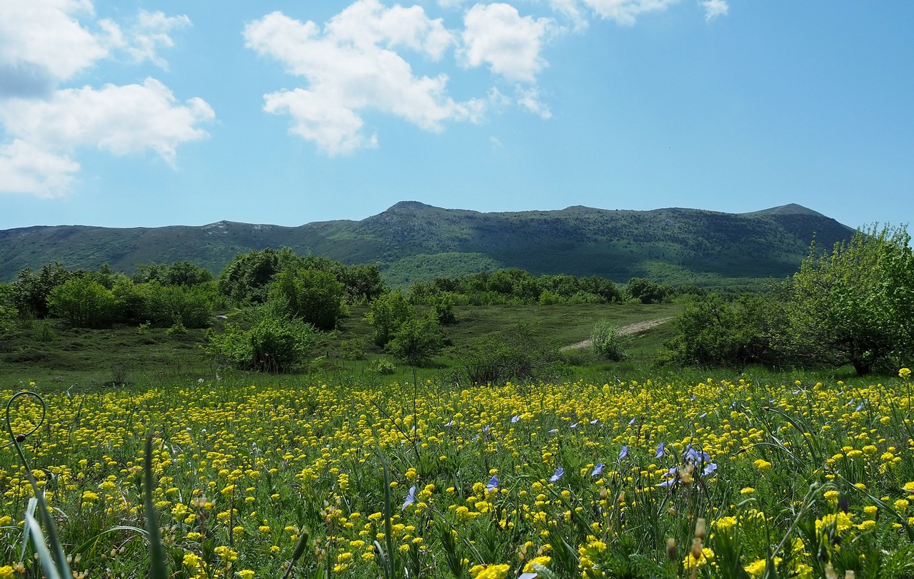 Нижнее плато Чатырдага, image of landscape/habitat.