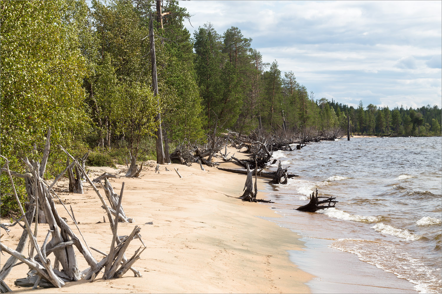 Топозеро, image of landscape/habitat.