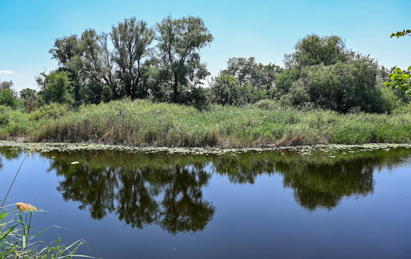 Озеро Гирьяльчик, image of landscape/habitat.
