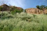 Image of landscape