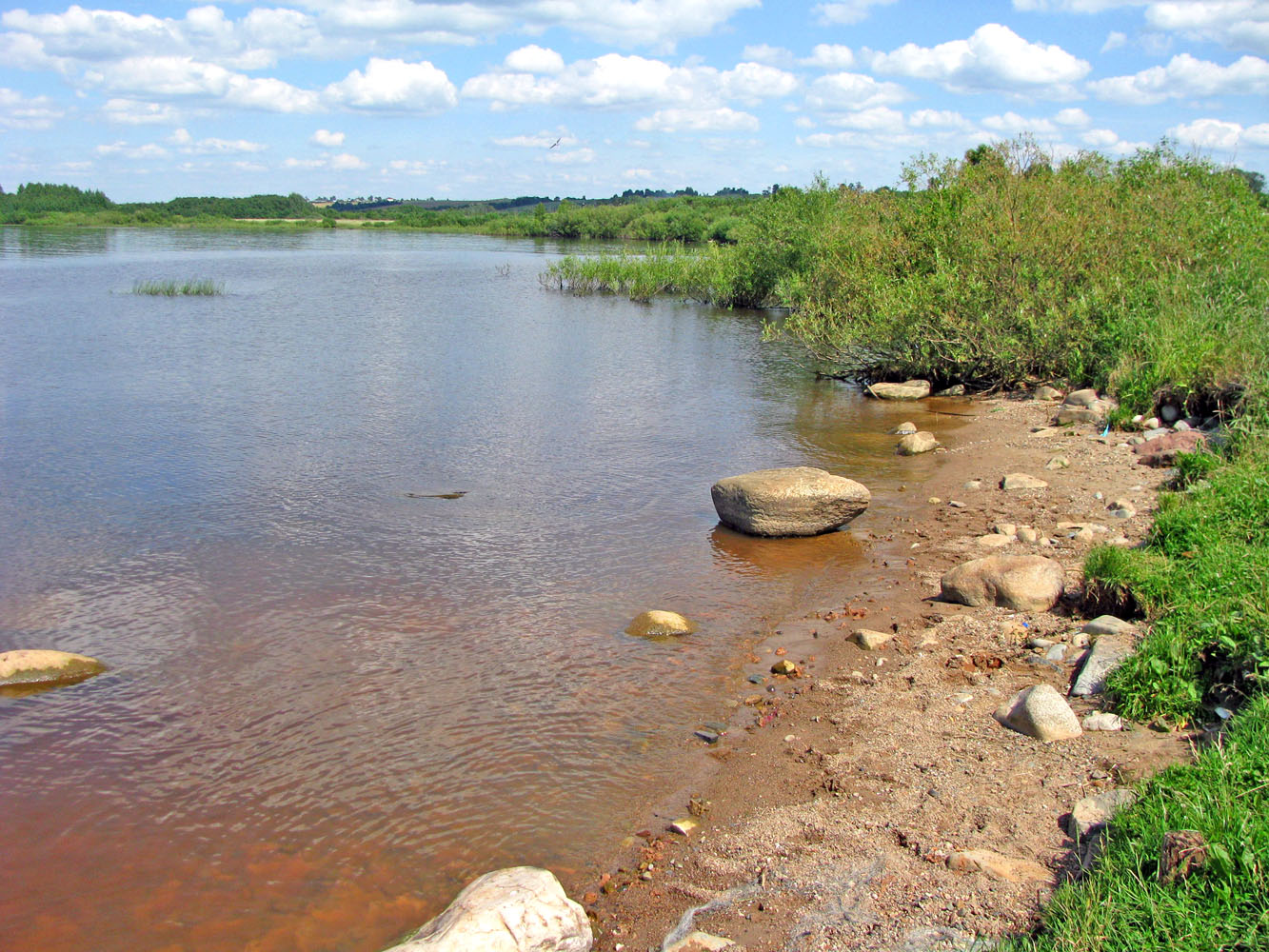 Рыбинское водохранилище, изображение ландшафта.