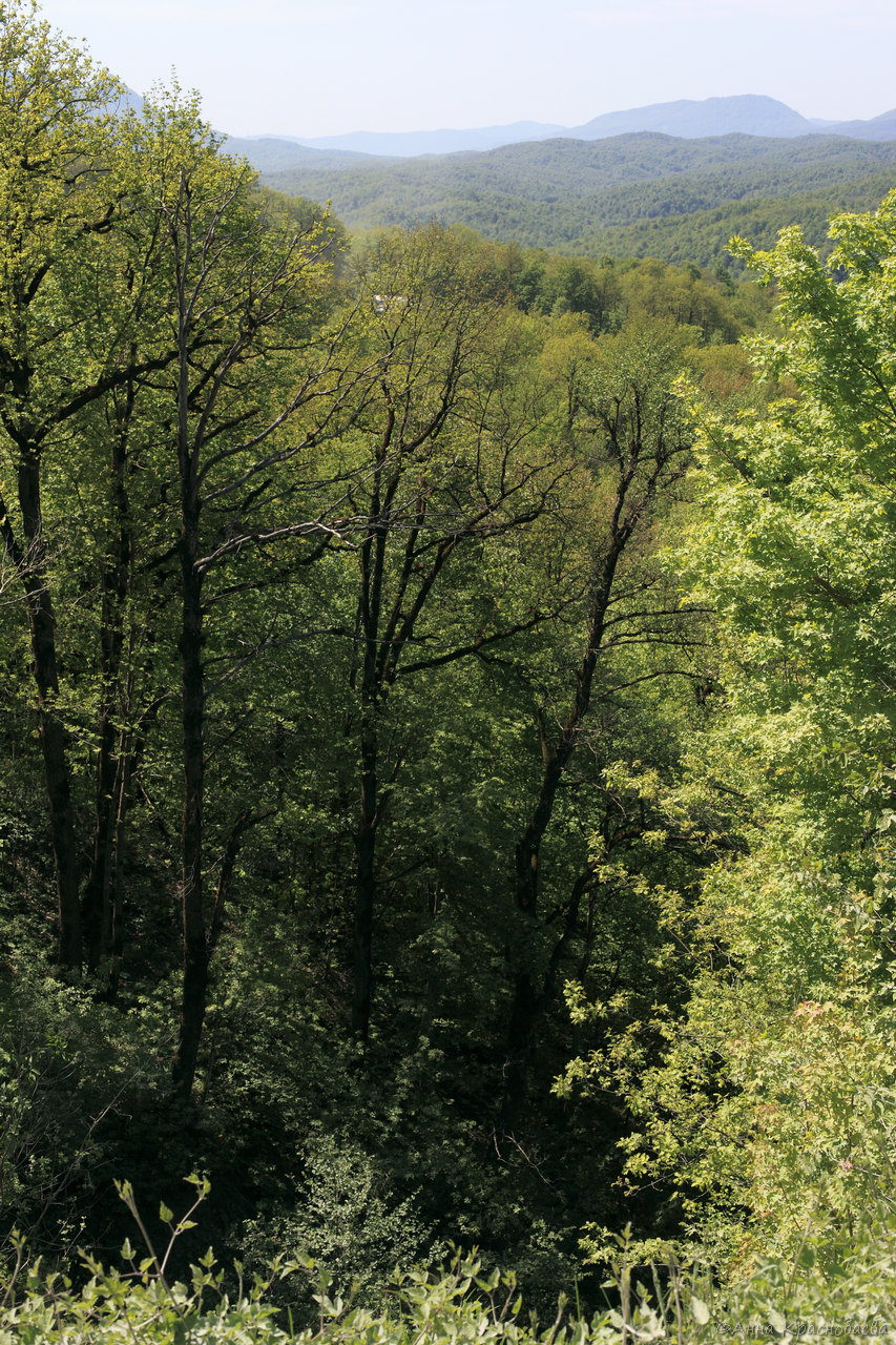 Шаумянский перевал, image of landscape/habitat.