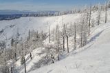 Хребет Суртанды, image of landscape/habitat.