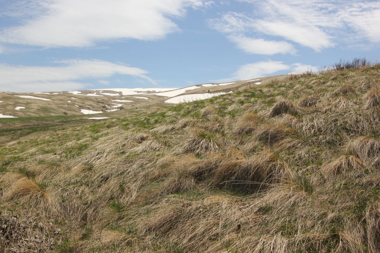 Окрестности ручья Молочка, image of landscape/habitat.