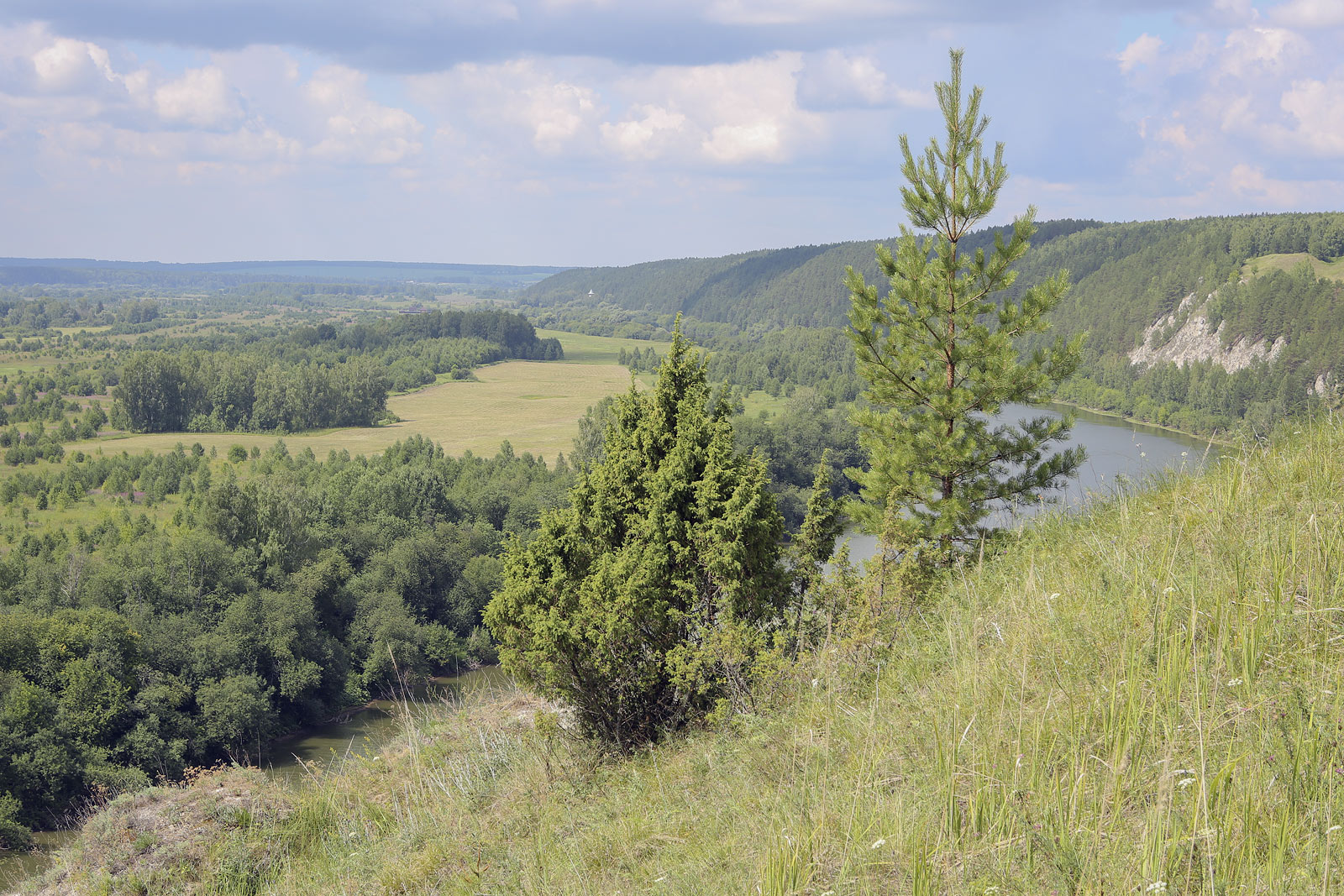 Подкаменная гора, image of landscape/habitat.