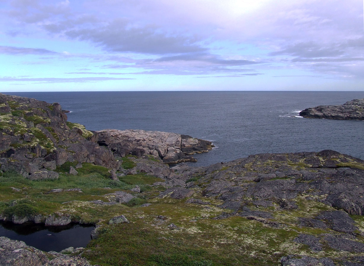 Дальние Зеленцы, image of landscape/habitat.