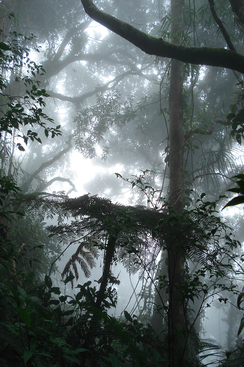 Банахао, image of landscape/habitat.