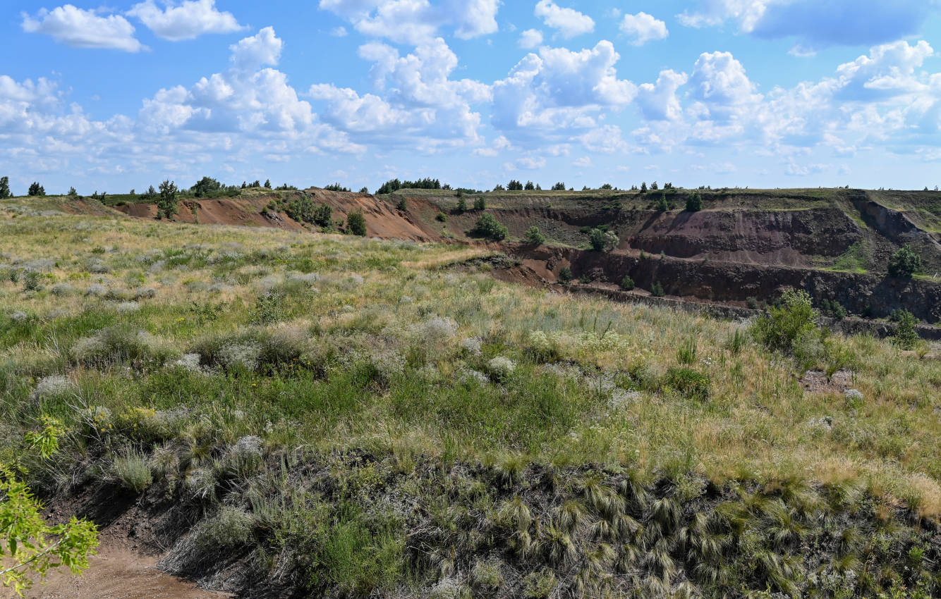Блявинский карьер, image of landscape/habitat.