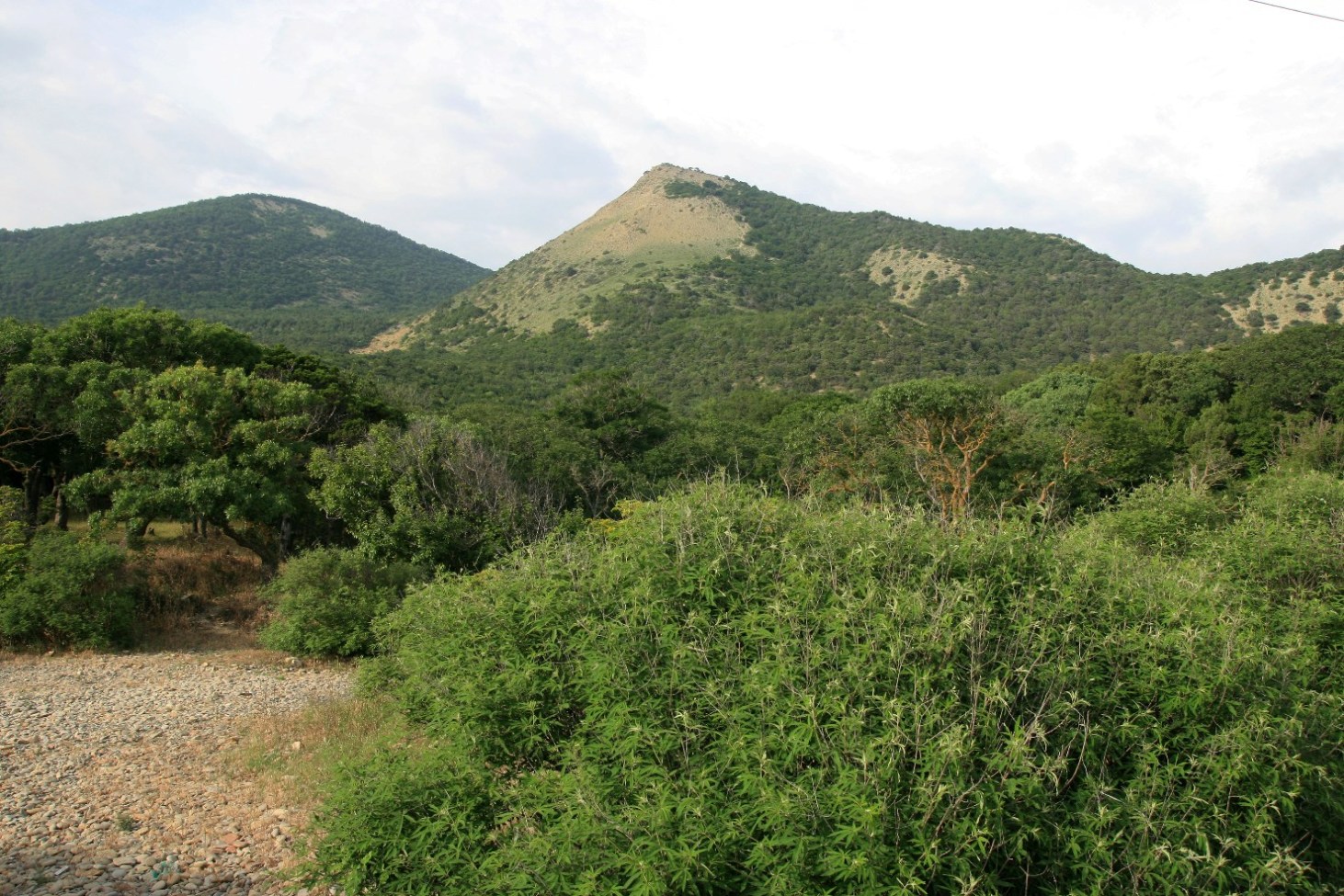 Заповедник "Утриш", image of landscape/habitat.