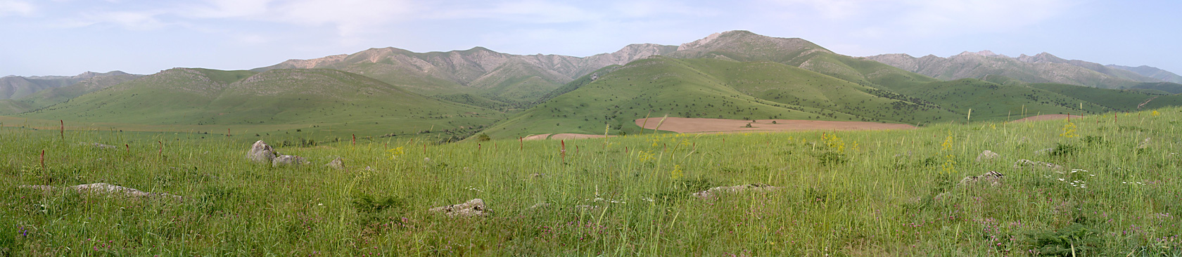 Хребет Боролдайтау, изображение ландшафта.