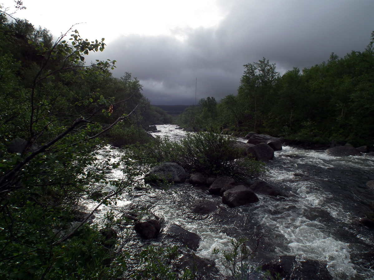 Туманный, image of landscape/habitat.