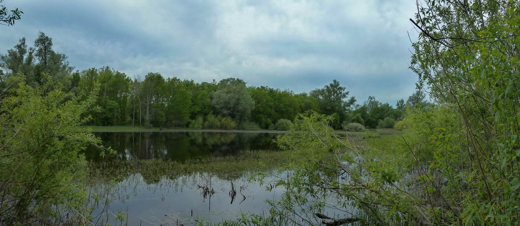 Щучья Лужа, image of landscape/habitat.