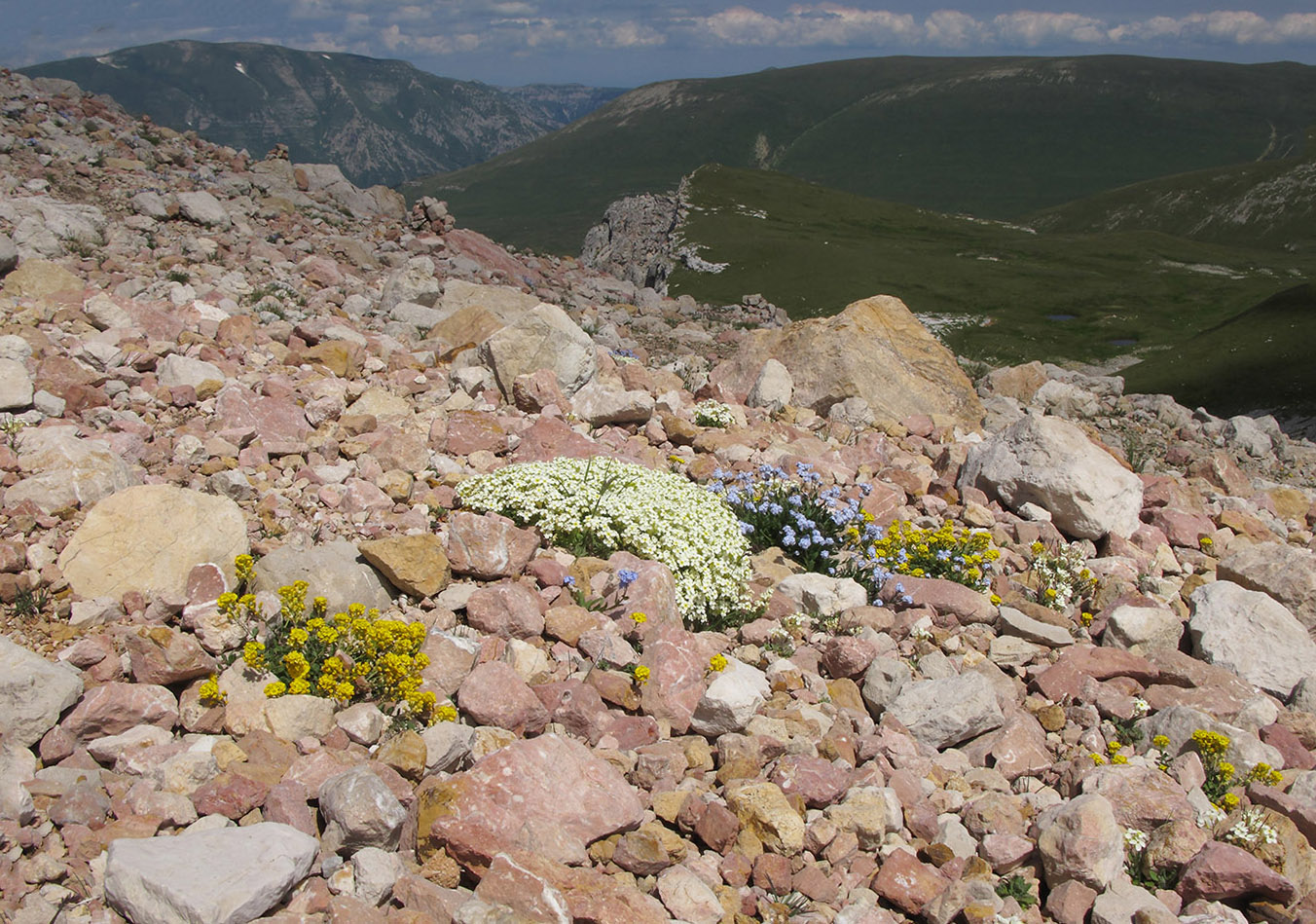 Оштен, image of landscape/habitat.