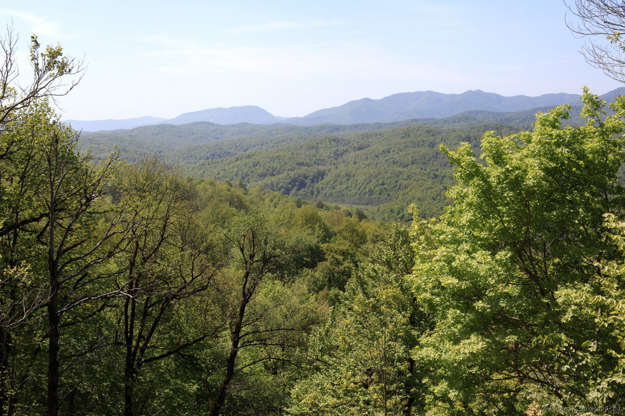 Шаумянский перевал, image of landscape/habitat.