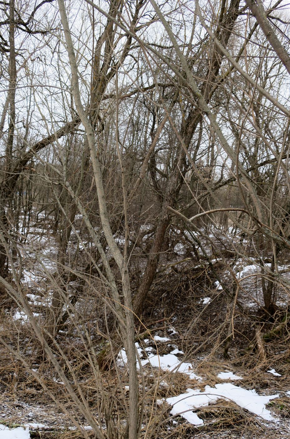 Малоярославец и окрестности, image of landscape/habitat.