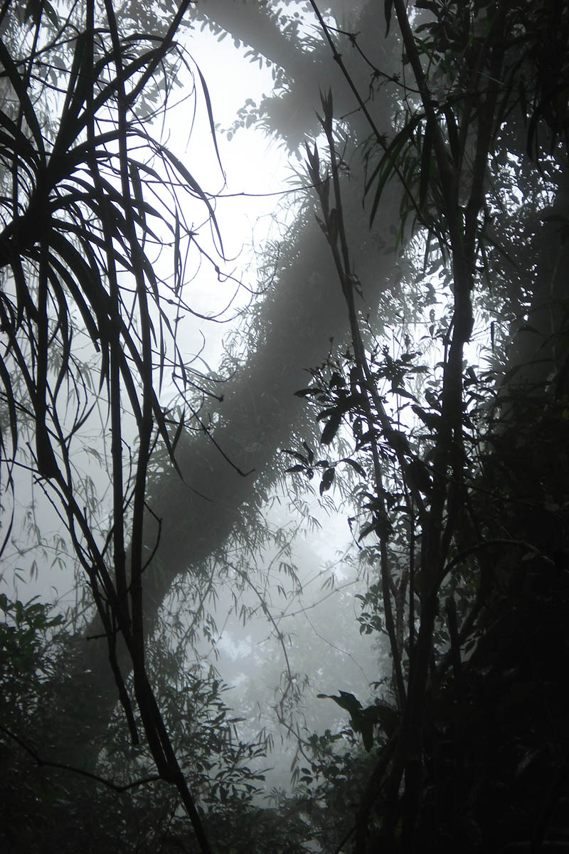 Банахао, image of landscape/habitat.