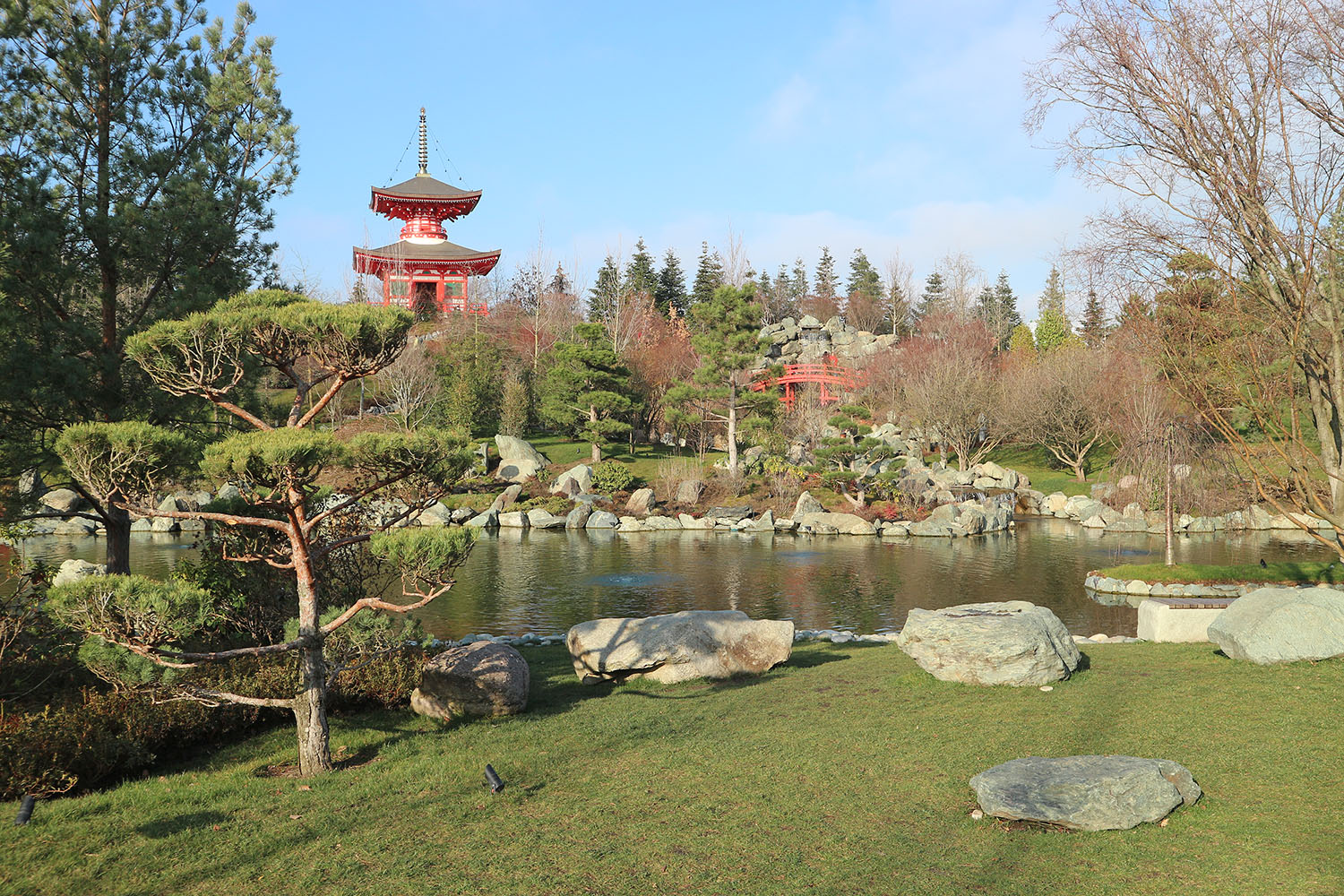 Японский сад в парке Галицкого, image of landscape/habitat.
