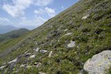 Image of landscape