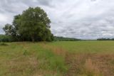 Бобинка и окрестности, image of landscape/habitat.