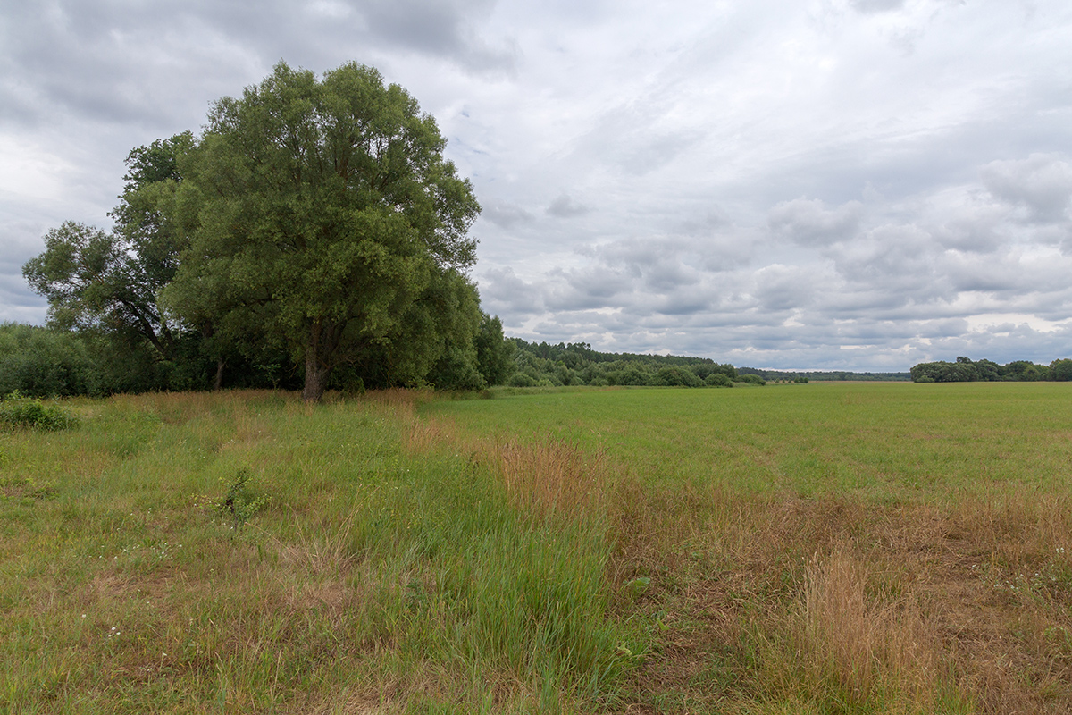 Бобинка и окрестности, image of landscape/habitat.