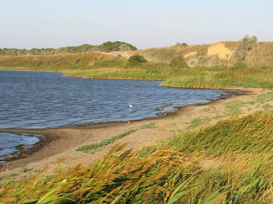 Кизилташский лиман, image of landscape/habitat.