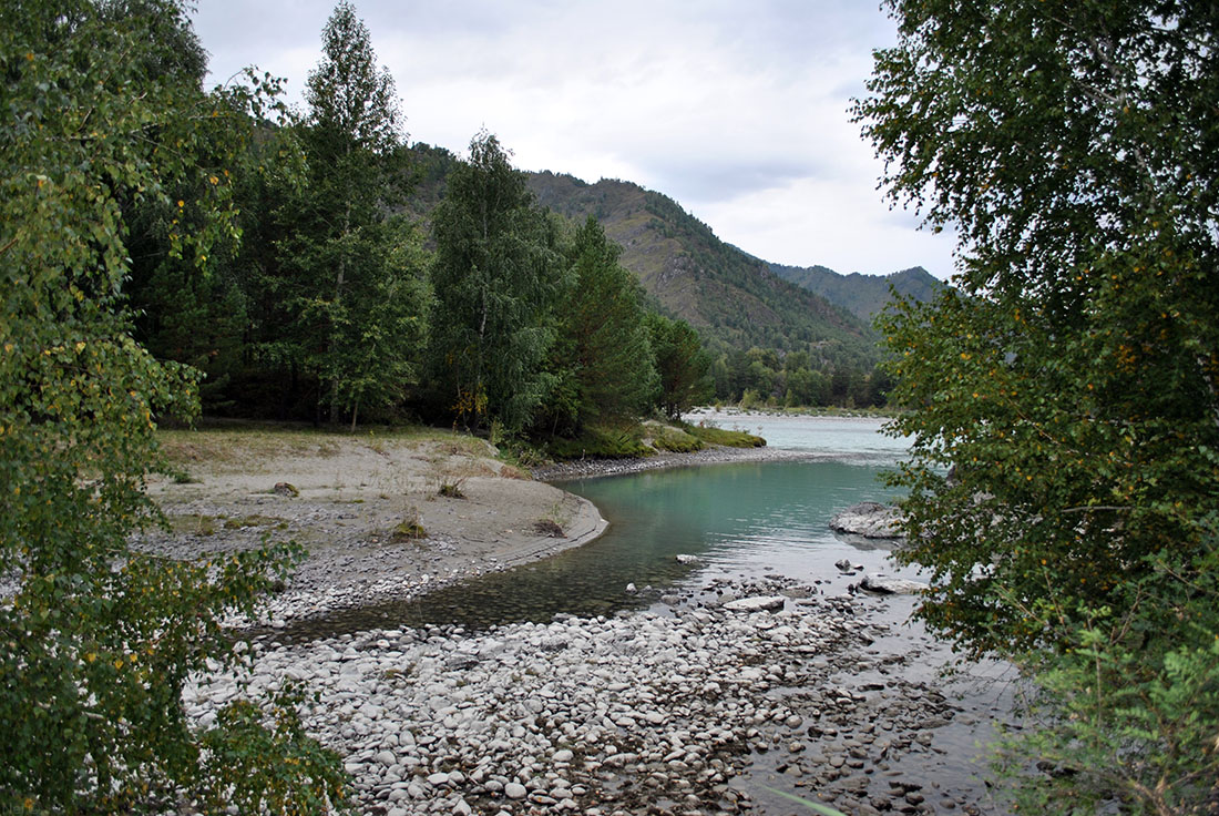 Чечкыш, image of landscape/habitat.