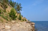 Image of landscape