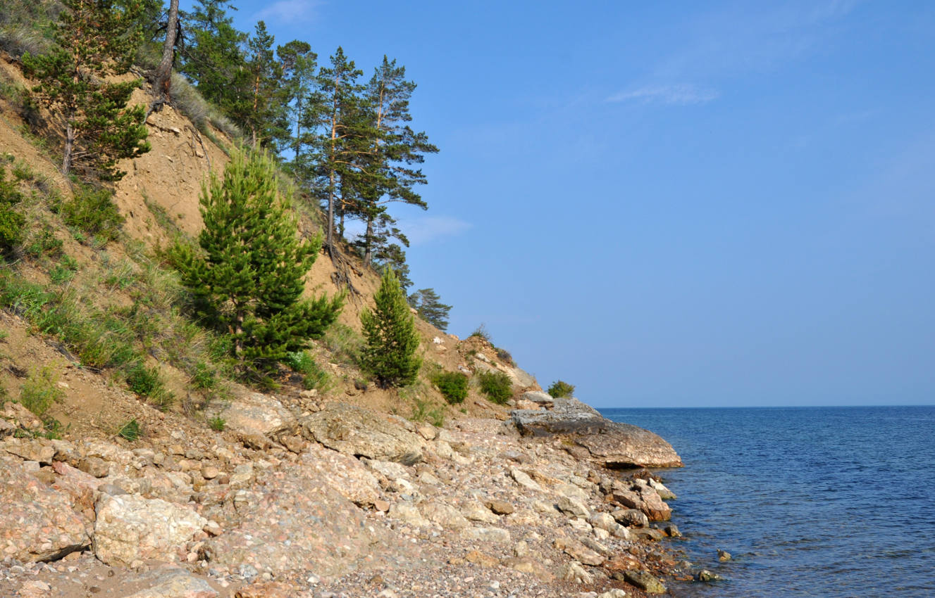 Окрестности поселка Большие Коты, image of landscape/habitat.