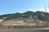 Image of landscape