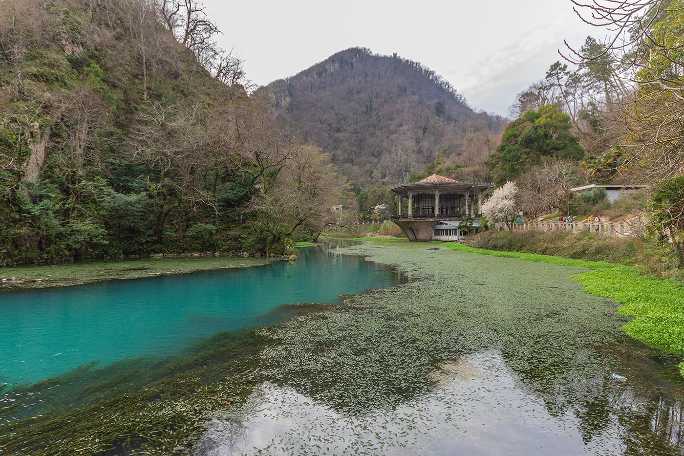 Новый Афон, image of landscape/habitat.