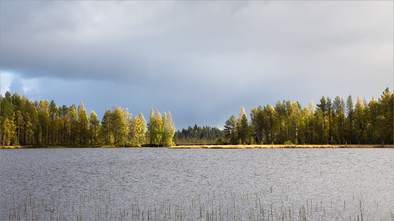 Толвоярви, image of landscape/habitat.