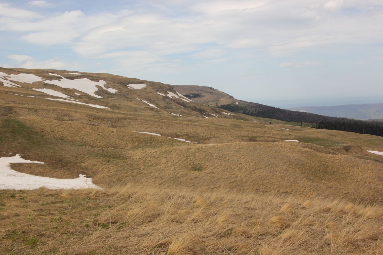 Окрестности ручья Молочка, image of landscape/habitat.