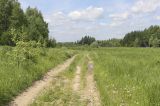 Image of landscape