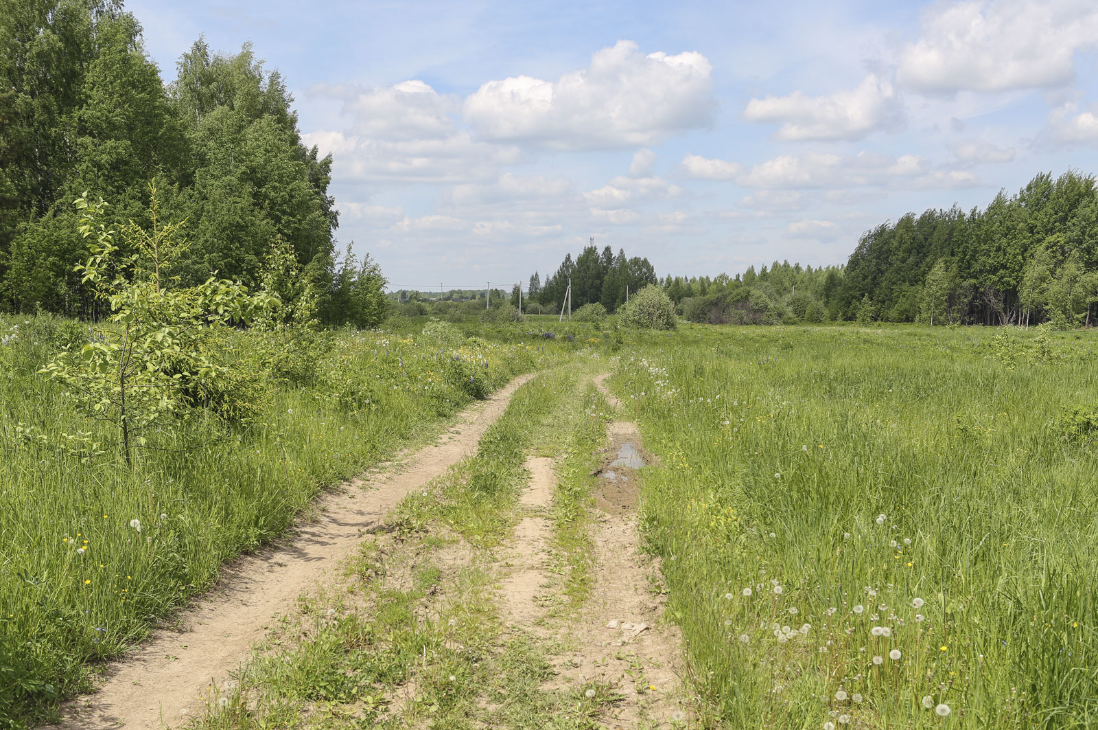 Александров и его окрестности, image of landscape/habitat.