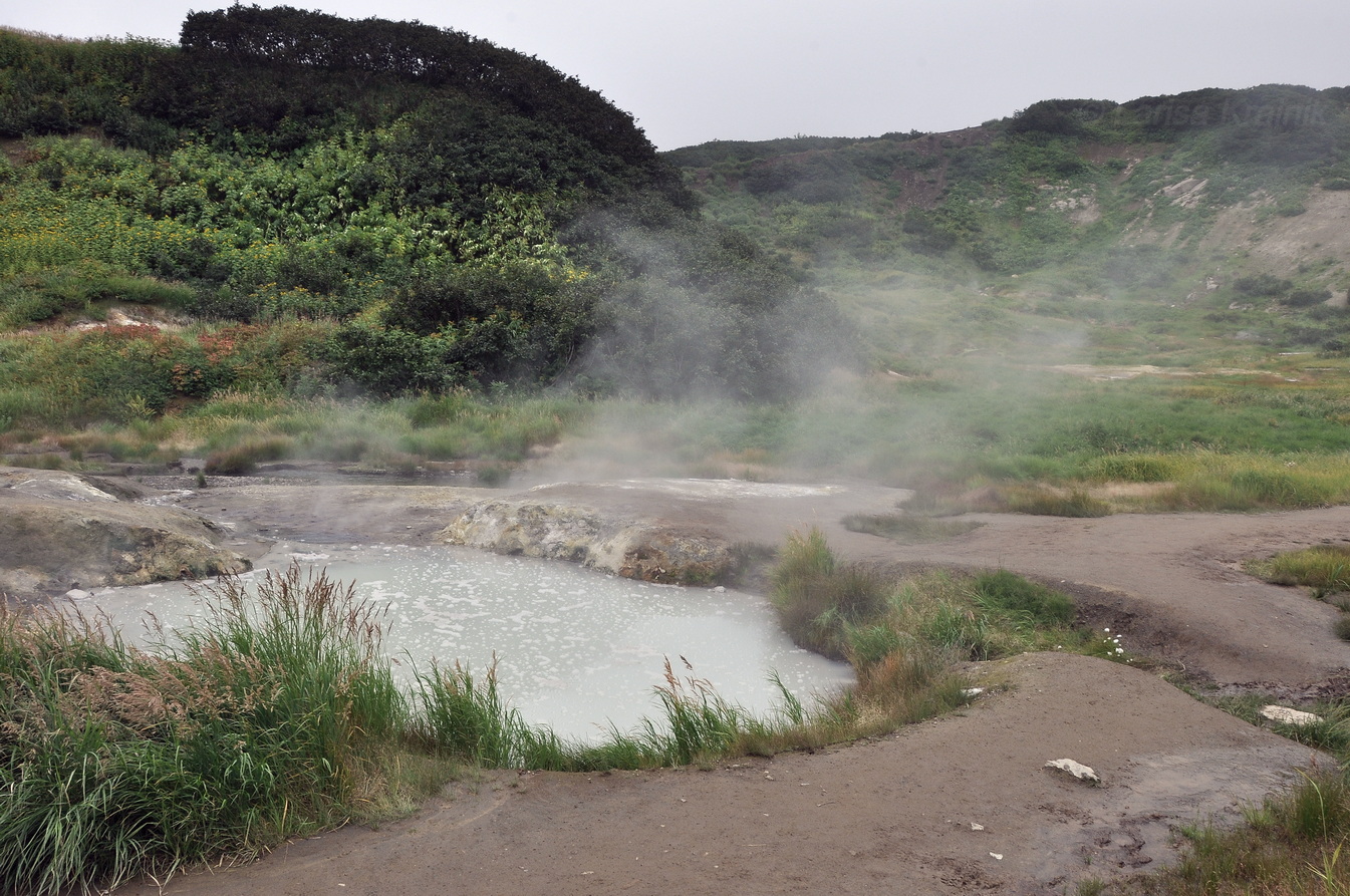 Дачные термальные источники, image of landscape/habitat.