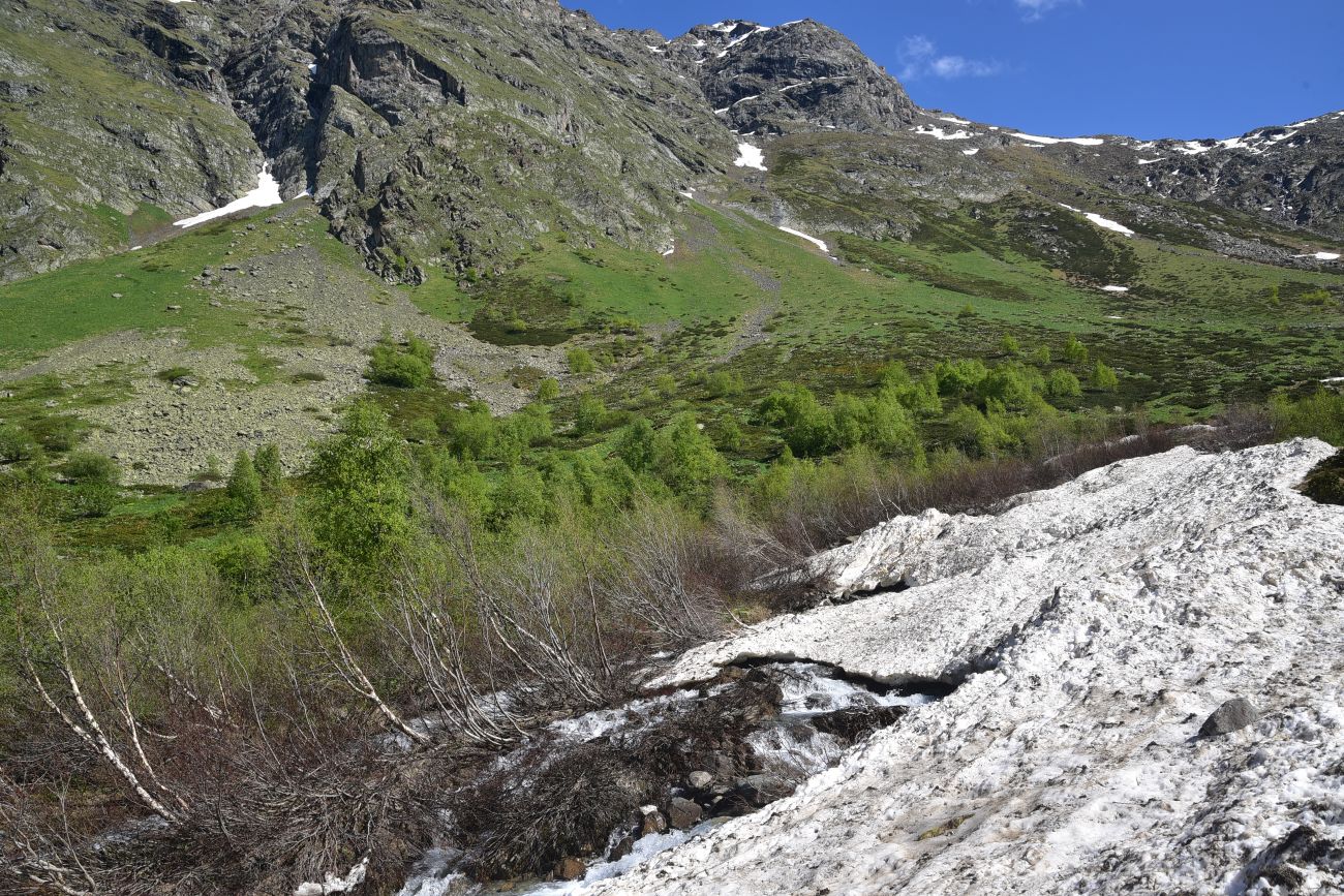 Река Когутайка, image of landscape/habitat.