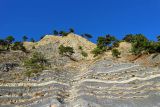 Image of landscape