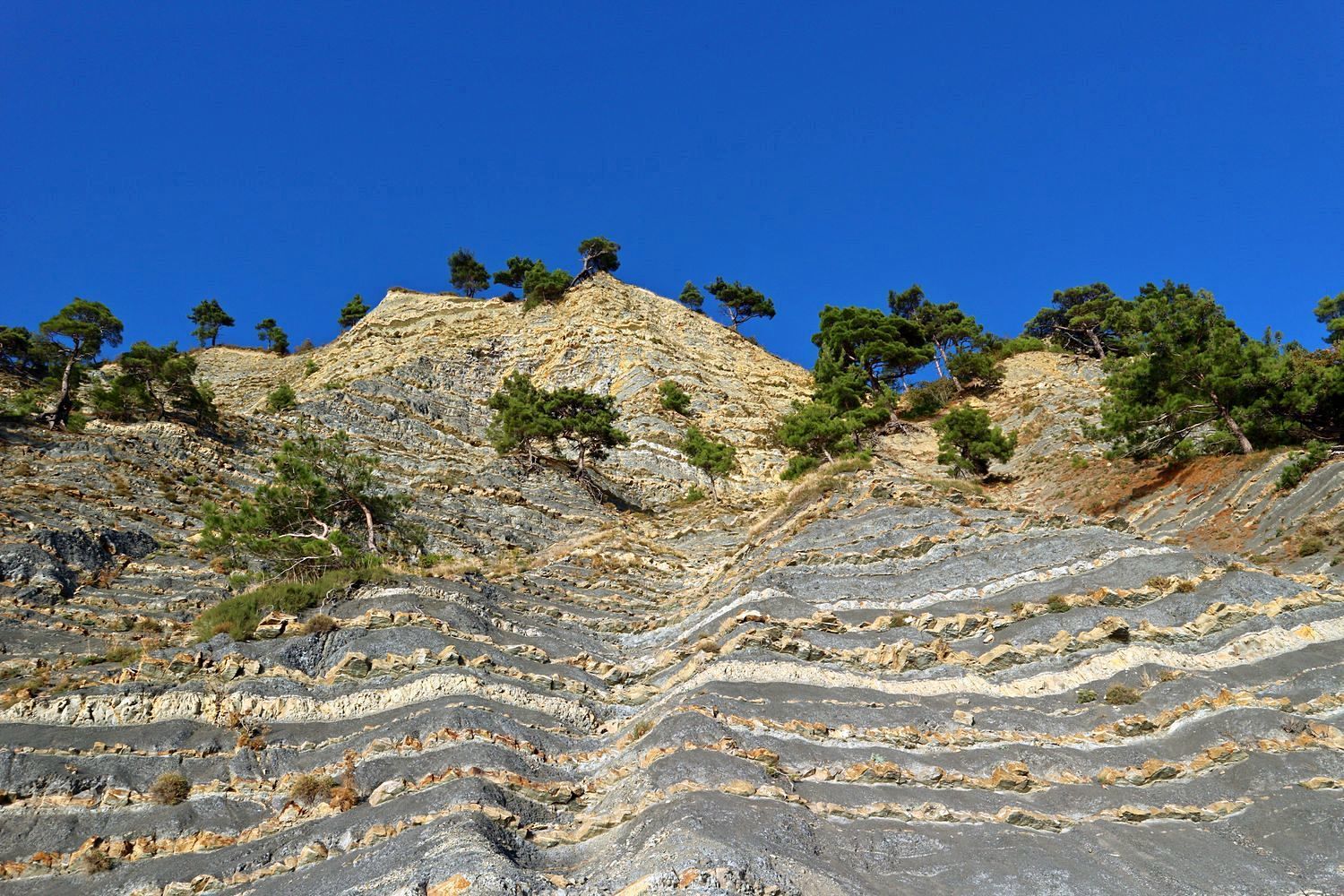 Побережье Джанхот-Прасковеевка, image of landscape/habitat.