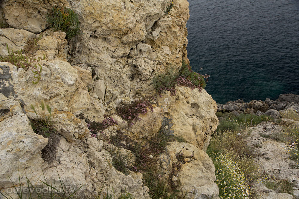 Санта Мария ди Леука, image of landscape/habitat.