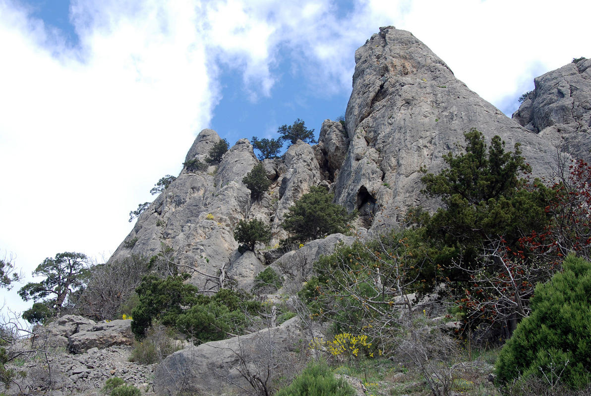 Караул-Оба, image of landscape/habitat.