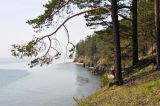 Image of landscape
