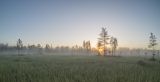 Landscape image