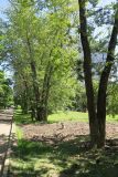 Image of landscape
